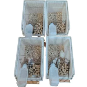 Laboratory Rodent Breeding Cage