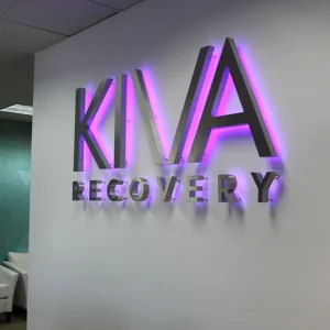 Custom Stainless Steel 3D LED Signage for Business Buildings