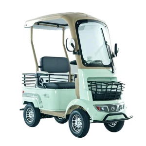 Energy-Efficient Campus Golf Cart
