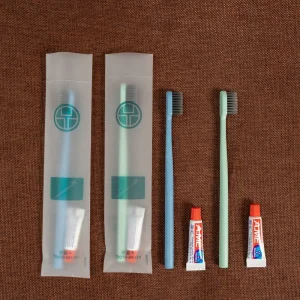Eco Friendly Bamboo Biodegradable Toothbrush Dental Kit