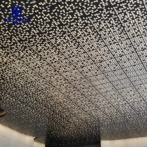 Shopping Mall Ceiling