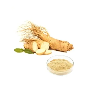 Organic Pure Natural Ginseng Ex. Panax Ginseng Extract Ginseng Root Extract