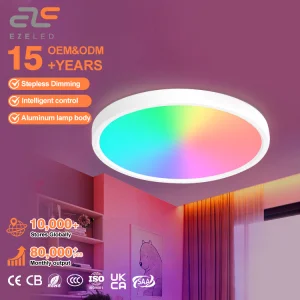 Energy Saving Smart Ultra Thin Flush Mount LED Ceiling Light