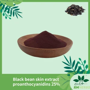 Premium Black Bean Extract with 25% Proanthocyanidins for Antioxidant Power