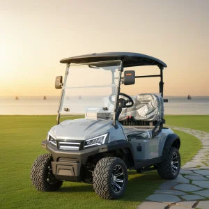 Customized 2 Seater Golf Cart