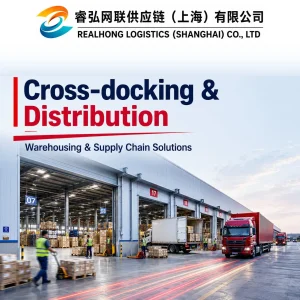 Professional Shipping Agent Distribution Service Logistics