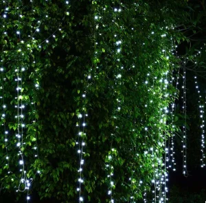 String Light for Christmas