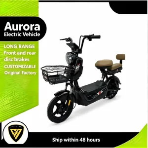 OEM Phoenix Urban E-Bike