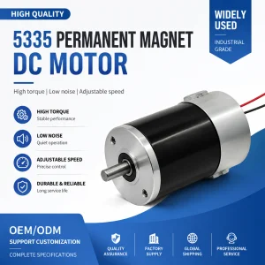 5335 Brushed DC Permanent Magnet Gear Motor