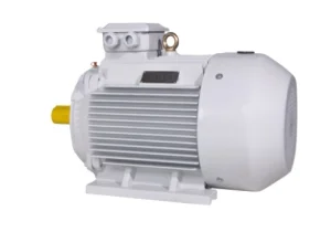 Permanent Magnet Motor
