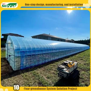 Single Span Film Greenhouse for Vegetables Strawberries with Watering Fertigation Irrigation System