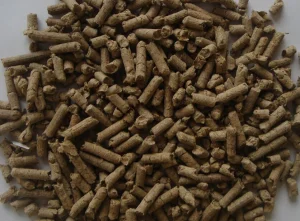 Produtos de caixa de areia para gatos australiano