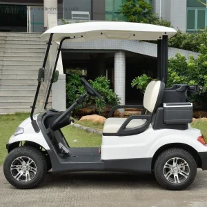 2 Seats Golf Cart