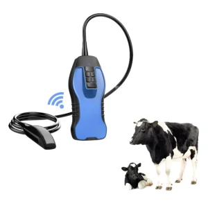 S9 Animales
