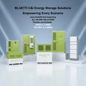Beny LiFePO4 battery storage cabinet