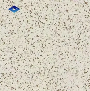 World-Class Antistatic PVC Vinyl Flooring Size 610mmx610mmx2.5mm Lab Clean Room Application