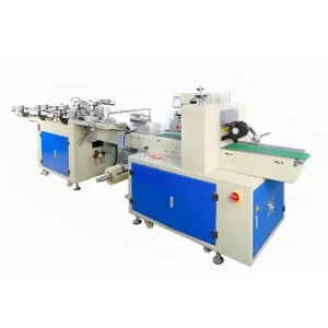 ODM Disposable Cup Double Row Packaging Machine