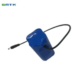 Factory 3350mAh 3.6V High Energy Density Solid-State