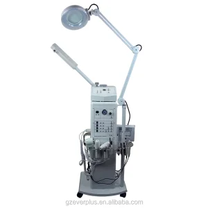 Multifunctional 13 in 1 Beauty Salon Equipment for Sale