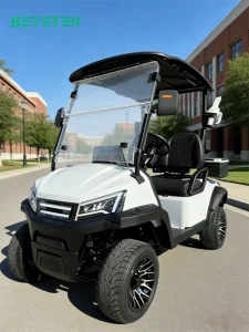Electric Golf Cart 2 Seater Compact