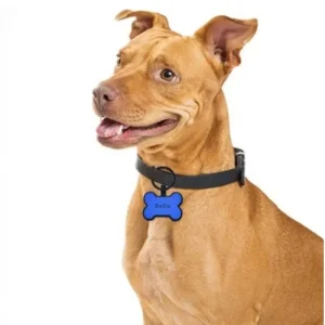 Wholesale&Custom Personalized Silicone Pet ID Tag - Dog/Cat Qr Code Engravable Slider Collar Accessory