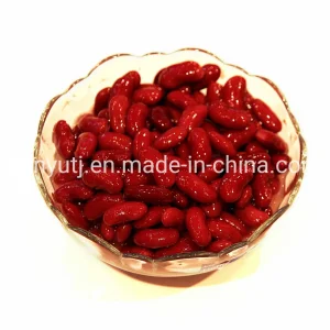 Frijoles de alta calidad