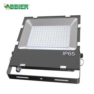 300W Solar Security Light