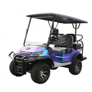 Beach Buggy