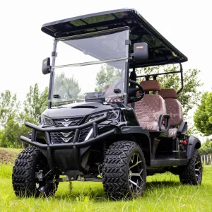 Street Legal Golf Cart