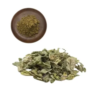 Wholesale White Mulberry Leaf Powder 1-DNJ