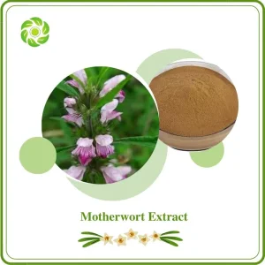 Extracto Herbal de Bienestar Mundial Clorhidrato de Estacidrina 98% Extracto de Madrewort Polvo de Extracto de Hierba de Madrewort