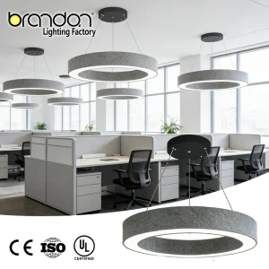 Indoor Office Ceiling Suspended Hanging Circle