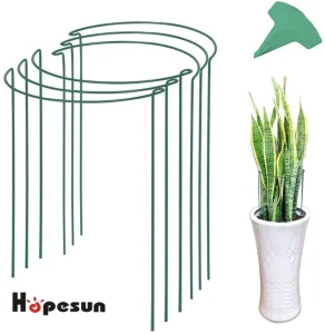 Metal Wire Hoop