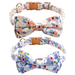 Floral Pet Collar