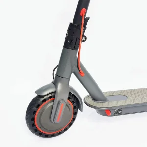 350W Adult Scooter