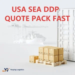 China to USA Sea Freight DDP
