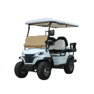 WELIFTRICH Golf Customized Design