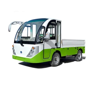2-Person Parison Electric Golf Cart Utility Vehicle with 2 Seats and Cargo Box Made of Plastic 2025SDZX12PTPR336