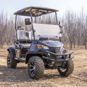 Mini 2 Seater Electric Golf Cart Off-Road