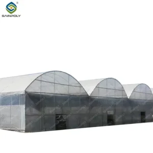 Modern High-Performance Irrigation&Hydroponics Equipment Multi Span Film Greenhouse
