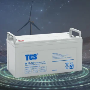 SLA AGM Rechargeable Battery