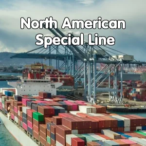 Cheapest China Freight Forwarder Sea Freight Shipping Charges From China to USA/Canada/Mexico