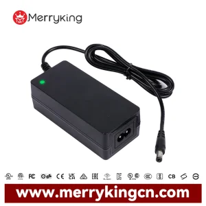 OEM AC DC Adapter