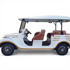High-Performance Off-Road Golf Carts Customizable Features for Ultimate Comfort and Style No reviews y