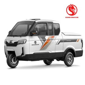 Wholesale ASIAN DRAGON Enclosed E-Trike