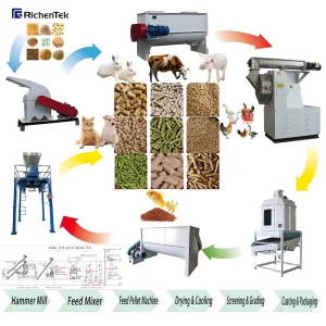 Feed Processing