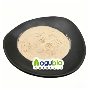 Natural Fermented Miso Powder