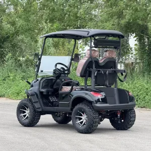Mini Golf Cart 2-Seater Luxurious Seats