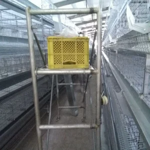 Convenient Automated Steel Structure Building/ Incubation Plants with Selectable Layers