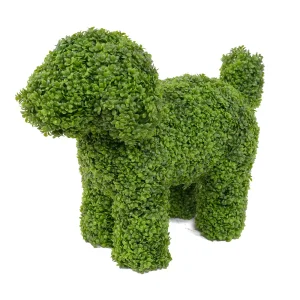 China Elegant 36cm Boxwood Dog Statue Adding Charm